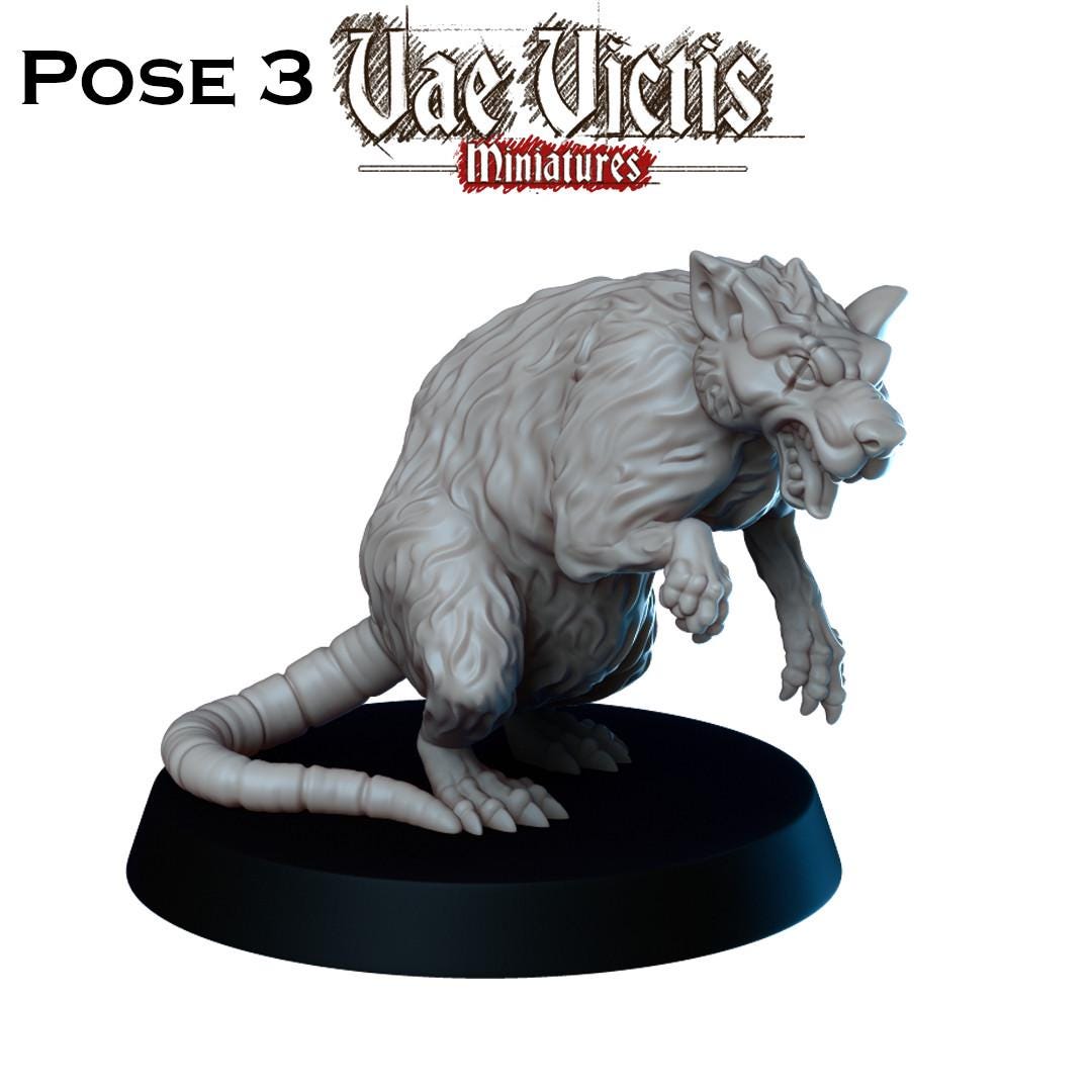 Giant Rat Miniatures - by Vae Victis Miniatures