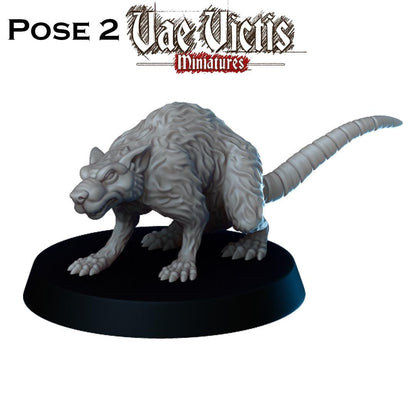 Giant Rat Miniatures - by Vae Victis Miniatures