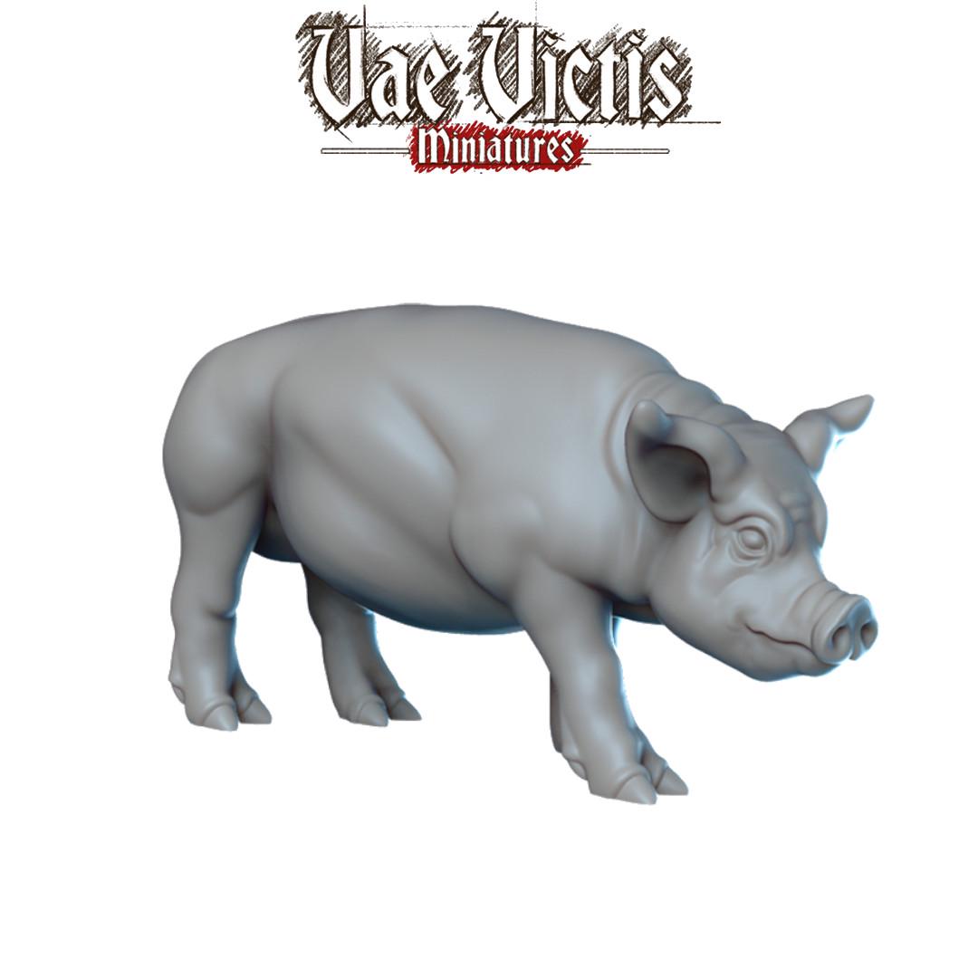 Pig Miniatures - by Vae Victis Miniatures
