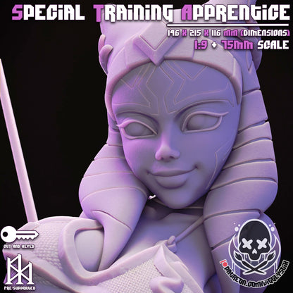 Special Training Apprentice Miniature - by Jigglystix